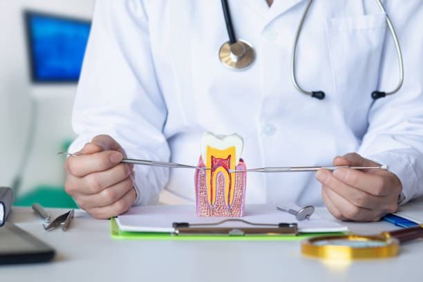 Best Emergency Cosmetic Dentistry in Dillsboro, IN